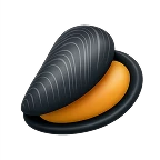 midii